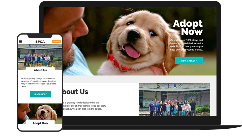Website redesign for SPCA Singapore